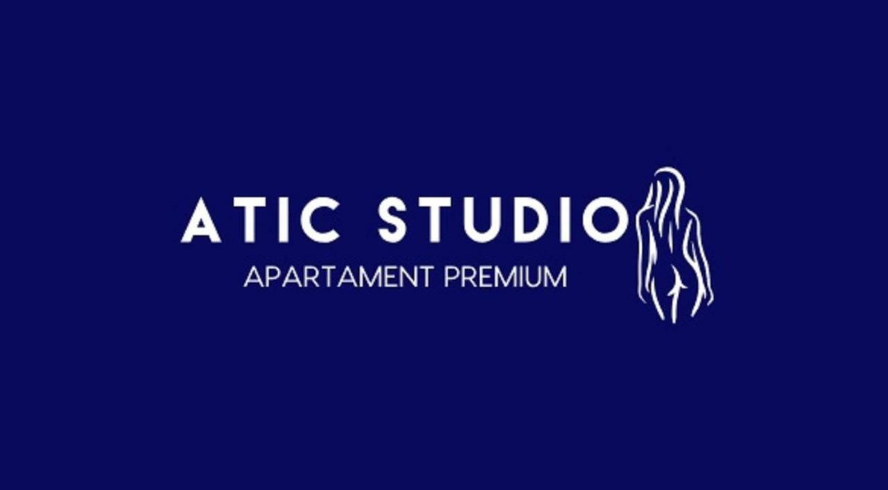 Apartament Attic Studio Tarnowskie Góry Exteriér fotografie